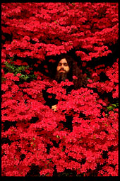 Vadim Makarov in Korean flowering bush (1)