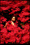 Vadim Makarov in Korean flowering bush (2)