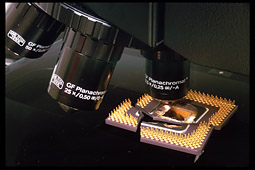 Pentium processor under microscope