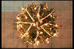 Christmas tree from above