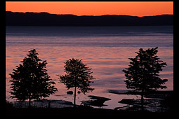 Trondheim fjord in Rotvoll